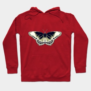 Awe-Inspiring Butterfly Hoodie